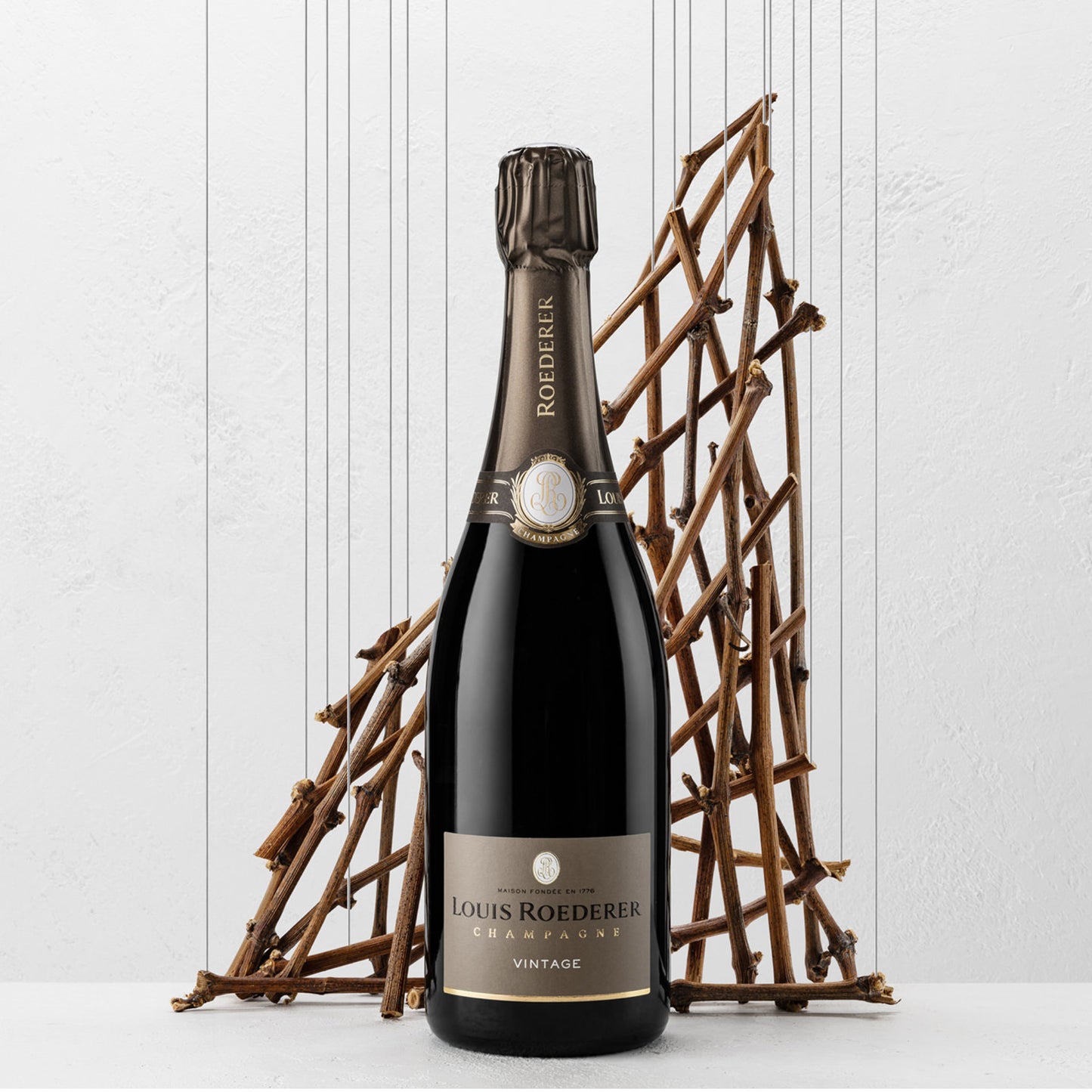 Champagnerflasche stehend kunstvoll arrangiert vor trocknen Ästen der Weinpflanze
