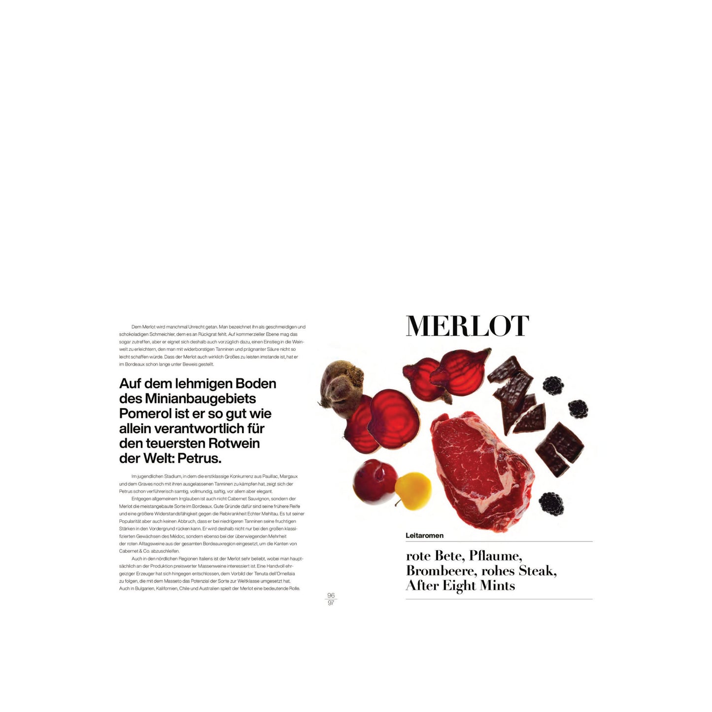 Buch Weingenuss - Weinsensorik und Aromen