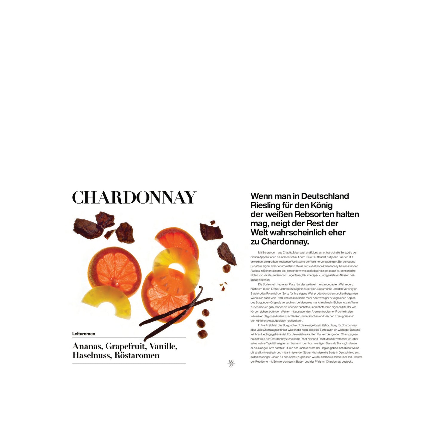 Buch Weingenuss - Weinsensorik und Aromen