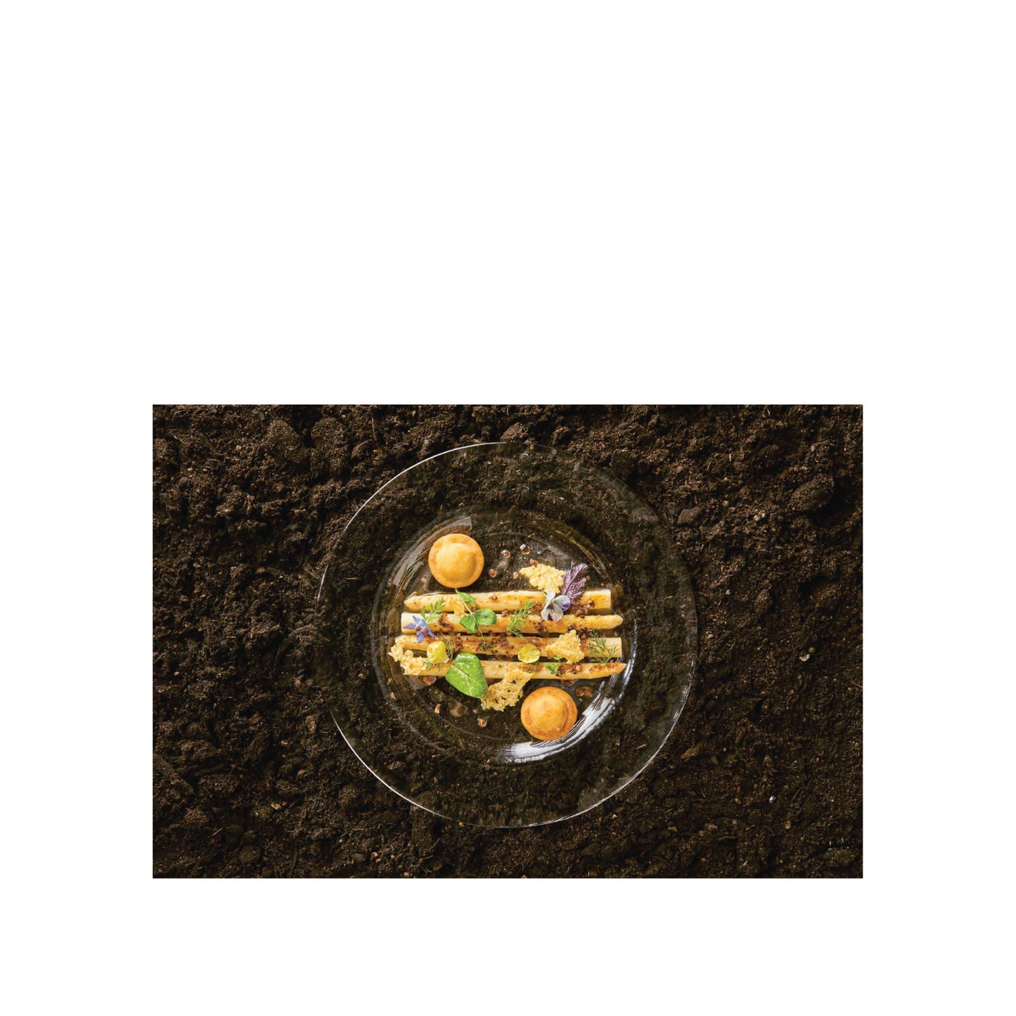 Buch So schmeckt Nachhaltigkeit