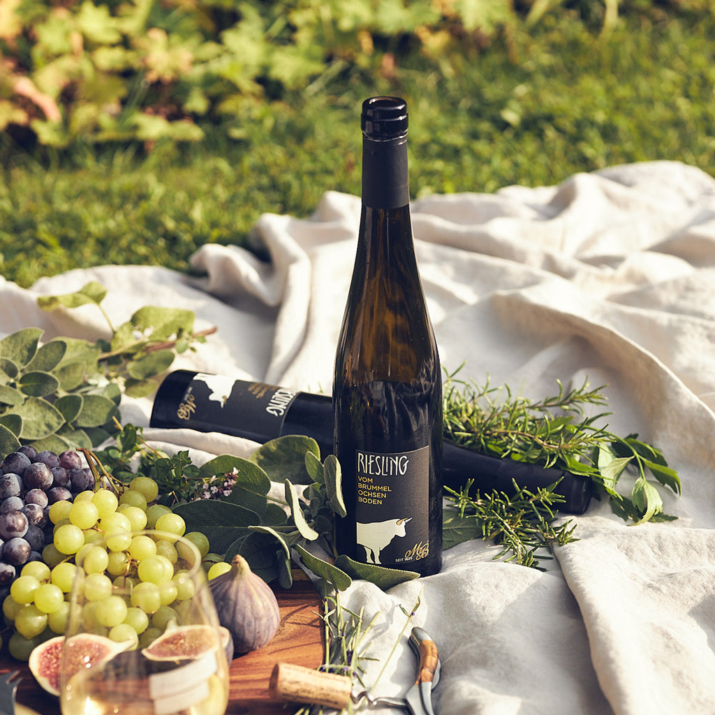 Picknick mit Weißwein Feigen und Weintrauben